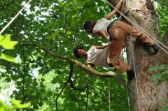 2 dans l arbre 017 * 6000 x 4000 * (9.71MB)